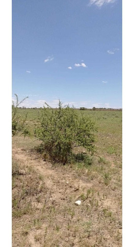 Imagen 3 de 7 de Terreno En Chacras De La Falda