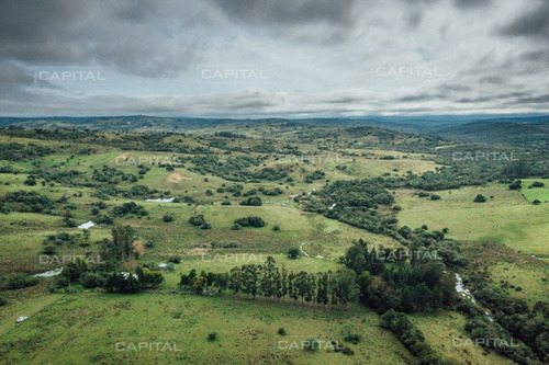 Imagen 14 de 15 de Chacra En Venta En Las Cañas - Zona Rural Las Cañas