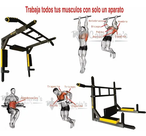 índice hospital Confundir Barra Multifuncional Dominadas Fondos Ejercicios En Casa