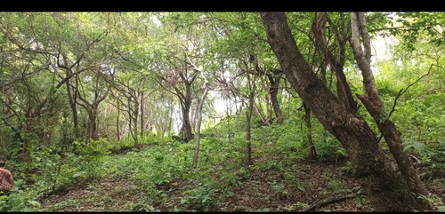 Imagen 12 de 30 de Se Vende Finca De 154 Manzanas