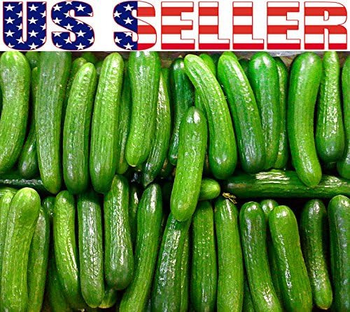 Más De 30 Semillas De Pepino Persa Beit Alpha, Sin Omg