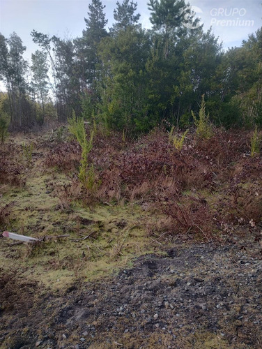 Parcela En Venta En Yungay