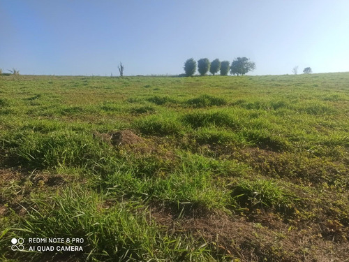 Ig Seu Sonho A Um Passo De Você. Lotes Guararema