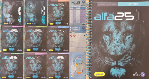 Sistema De Ensino Anglo 3o Ano Ensino Médio (1o Semestre)