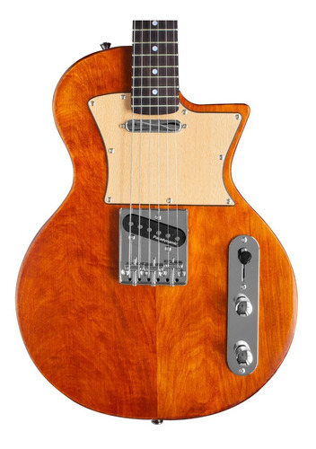 Guitarra Eléctrica Smith Les Paul Vintage + Funda Cable Pua