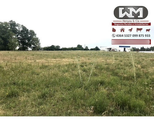 Venta Chacra Flores 1 Hectárea A 3 Km De Trinidad Flores