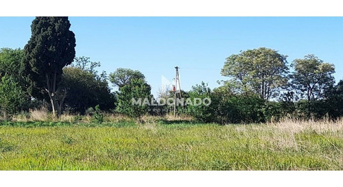 Imagen 4 de 9 de Venta Campo Quinta