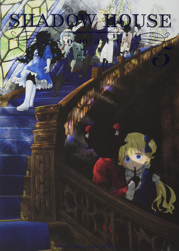 Libro Shadow House N 05 - Somato