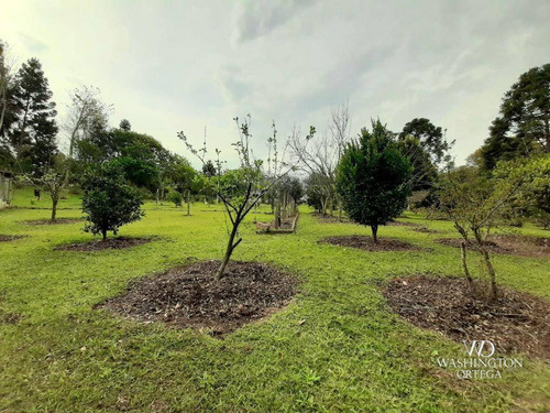Imagem 25 de 30 de Chácara Com 2 Dormitórios À Venda, 37784 M² Por R$ 660.000,00 - Rio De Una - São José Dos Pinhais/pr - Ch0071