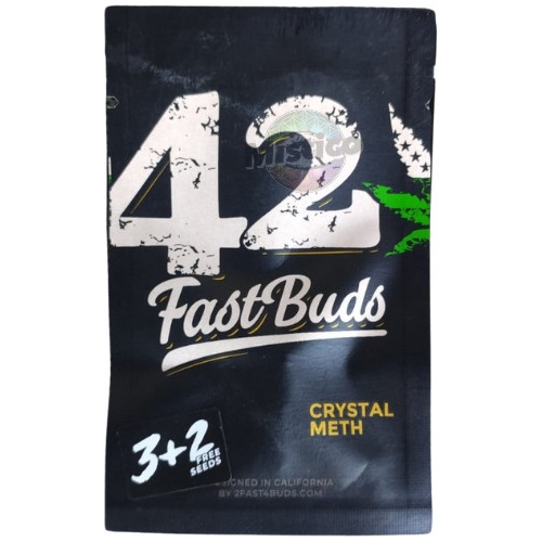 Semillas De Colección Blackberry Autox5 Fast Buds