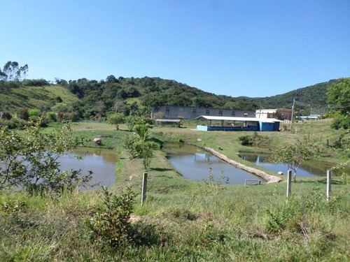 Imagem 15 de 23 de Chácara Com 2 Dormitórios À Venda, 20000 M² Por R$ 990.000,00 - Serrote - São José Dos Campos/sp - Ch0127