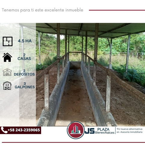 Imagen 5 de 7 de Parcela En Venta Magdaleno Aragua 04241408770