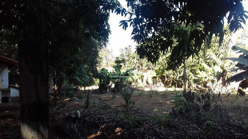 Imagem 13 de 15 de Chácara À Venda Em Santa Terezinha - Ch009193