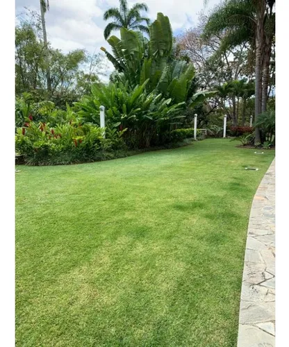 Vendo Ph 680m2 Los Chorros