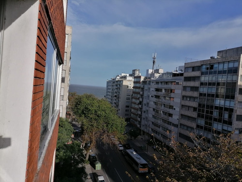 Imagen 5 de 14 de Dueño Vende Estupendo Apartamento En Pocitos