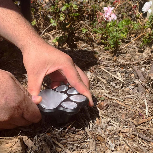 4 Luces Solares Para Exteriores Con Forma De Pata De Perro