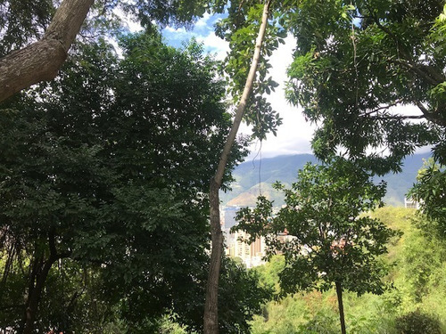 Imagen 9 de 11 de Casa Con Terreno En Venta En Colinas De Bello Monte