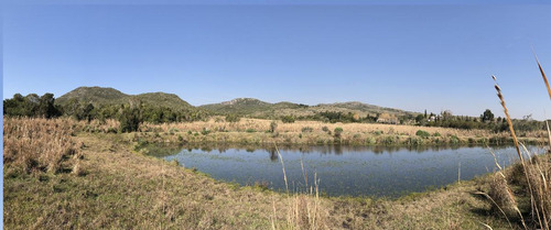 Chacra - Las Cañas. 5 Hectareas