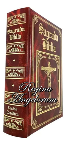 Sagrada Biblia Straubinger - Versión Sin Comentarios