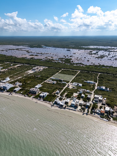 Terrenos A 200 Metros Del Mar En San Benito Yucatán