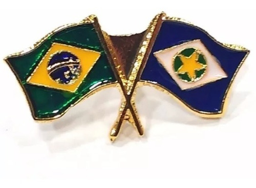 Pim Bótom Broche Pin Bandeira Estado Do Mato Grosso Folheado