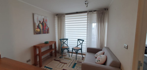 Venta Acogedor Dpto En Central Ubicación / Concepción.