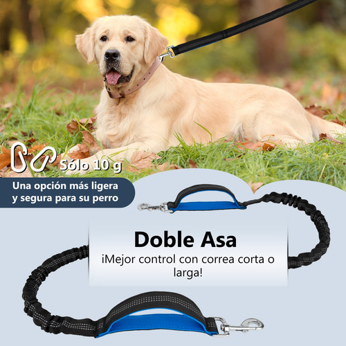 Riñonera+correa Para Perro Manos Libres Para Caminar +correr