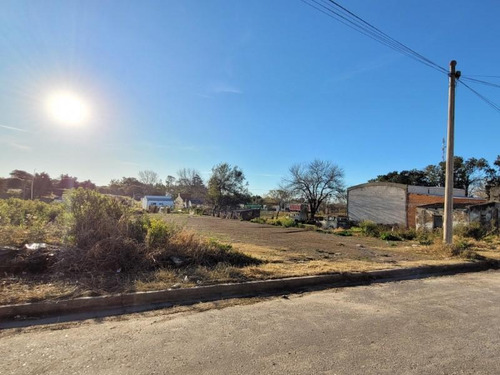 Imagen 3 de 6 de Amplio Terreno Nivelado: 13,95 X 40 - 560 M2 - Sobre Asfalto