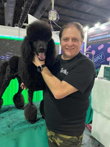 Curso De Peluqueria Canina