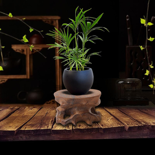 Base De Exibição De Pedra De Madeira Para Decoração De