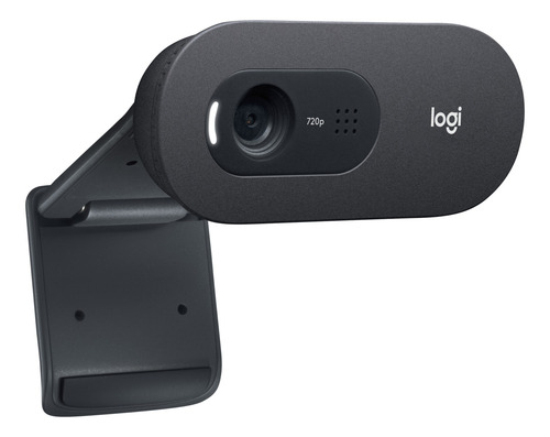 Imagen 3 de 3 de Cámara web Logitech C505 HD 30FPS color negro