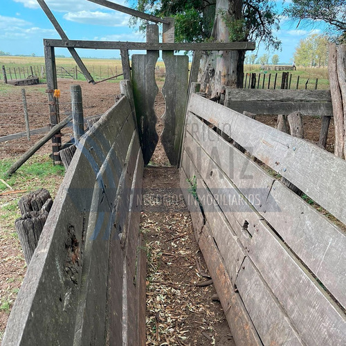 Se Venden 78 Hectáreas De Campo En Saladillo.