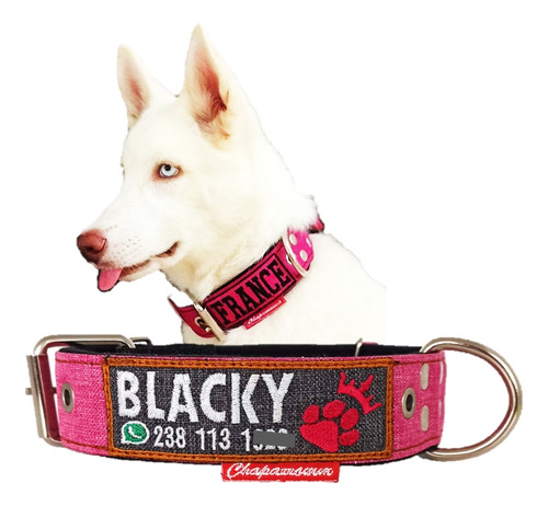 Collar St Personalizado Con Nombre De Tu Mascota!