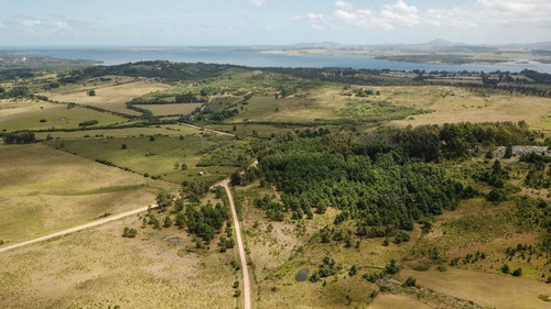 Chacra En Punta Ballena, Maldonado