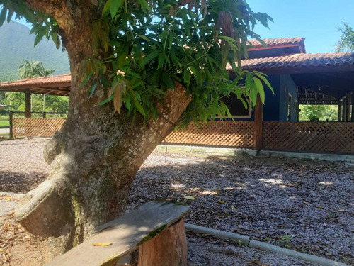 Imagem 5 de 13 de Chácara Em Guarda Do Cubatão, Palhoça/sc De 56m² 3 Quartos À Venda Por R$ 1.700.000,00 - Ch2330854-s