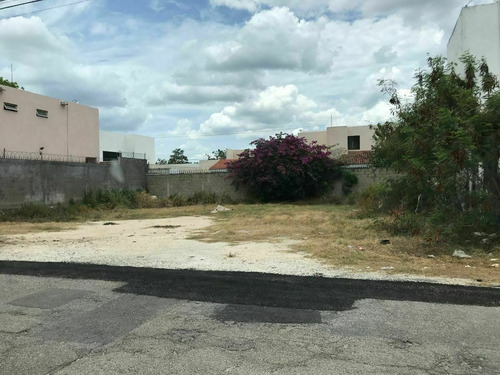 Imagen 2 de 8 de Se Venden Terrenos En Monte Albán