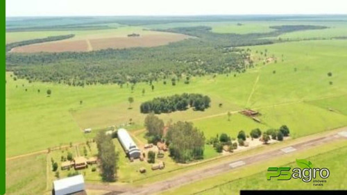 Imagem 8 de 19 de Fazenda À Venda, 108300000 M² Por R$ 180.000.000 - Centro - Canarana/mt - Fa0300
