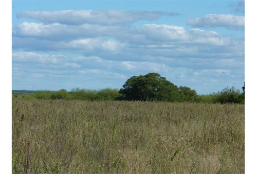 Imagen 4 de 12 de Campo Agrícola - El Redomon