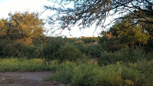 Cuarto De Hectárea En Zona Muy Turística