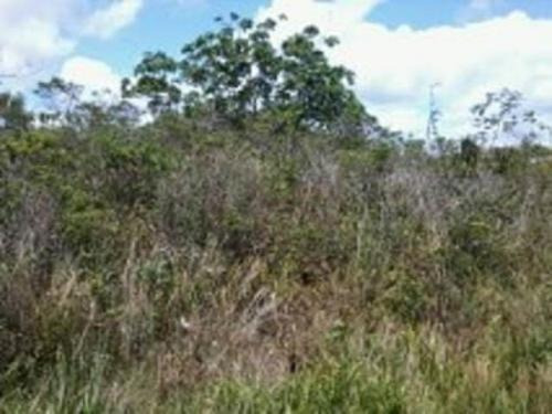 Imagem 1 de 1 de Terreno Em Peruíbe À 2.000 Metros Do Mar | 5758