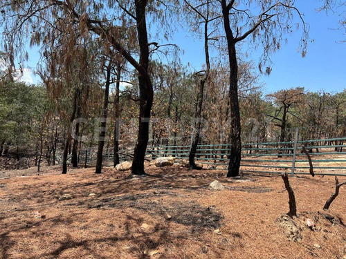 En Venta!!! Terreno Ubicado En Josefino De Allende, Jalisco.
