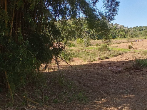 Imagem 18 de 30 de 03o-terreno A Venda Em Igarata