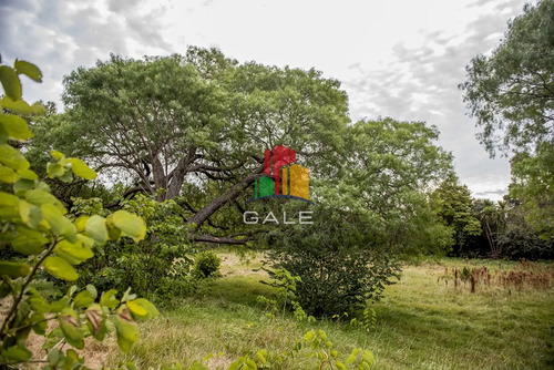 Casa En El Golf