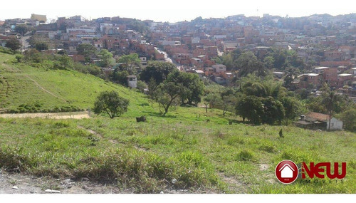 Imagem 3 de 5 de Ferraz De Vasconcelos-área Com 12.698. Escriturado - Ar0039
