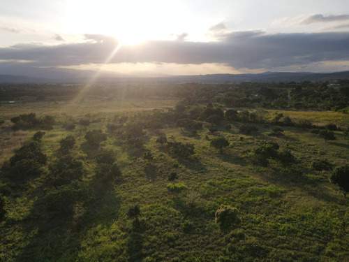 Imagen 7 de 24 de Granja En Venta Yaritagua 12 Hectareas Cod. 23-17577