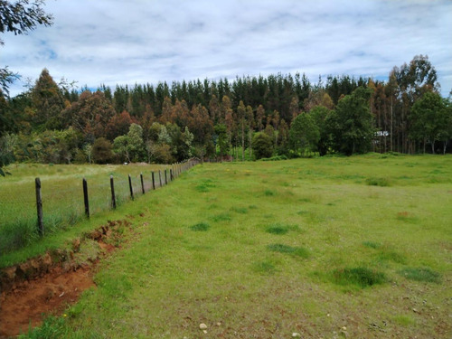 Vende Terreno 6.700 M2 Cerca Lago Ranco, Pillaco, Region De