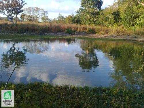 Imagem 11 de 14 de Venda Fazenda Formada Com 22 Alqueires Riacho 3 Represas Minicipio Niquelandia /go - 6145