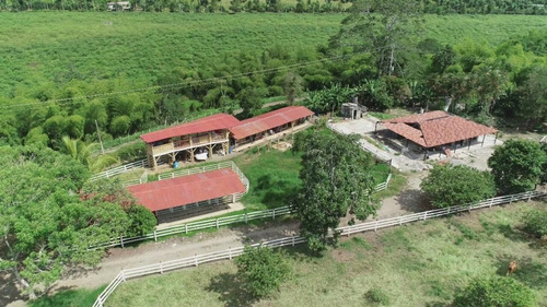 Se Vende Finca Montenegro Quindío 