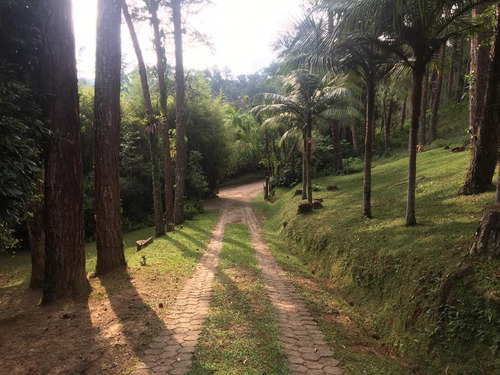 Imagem 7 de 30 de Sítio Á Venda Em Juquitiba-sp Ideal Para Renda! - 159 - 33954608