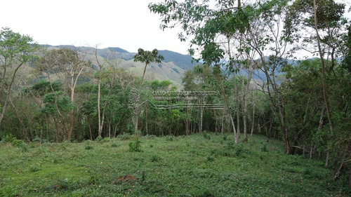 Imagem 4 de 9 de Terreno - Santa Barbara - Ref: 129 - V-1283